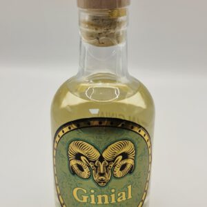 GINial 42% Vol. 200ml Gin